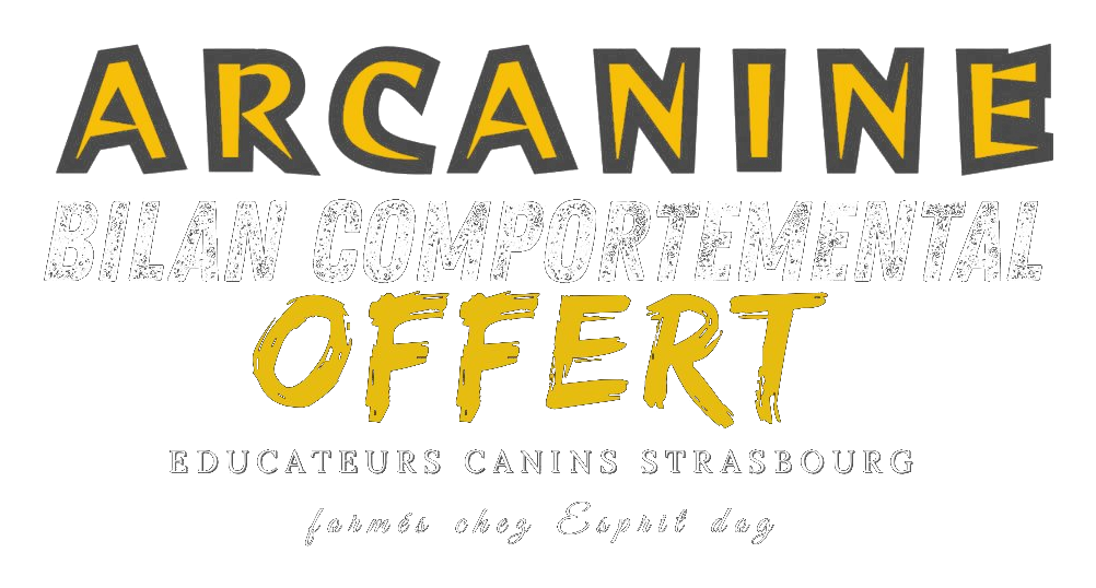 Arcanine — Bilan comportemental offert, éducateurs canins Strasbourg formés chez Esprit Dog