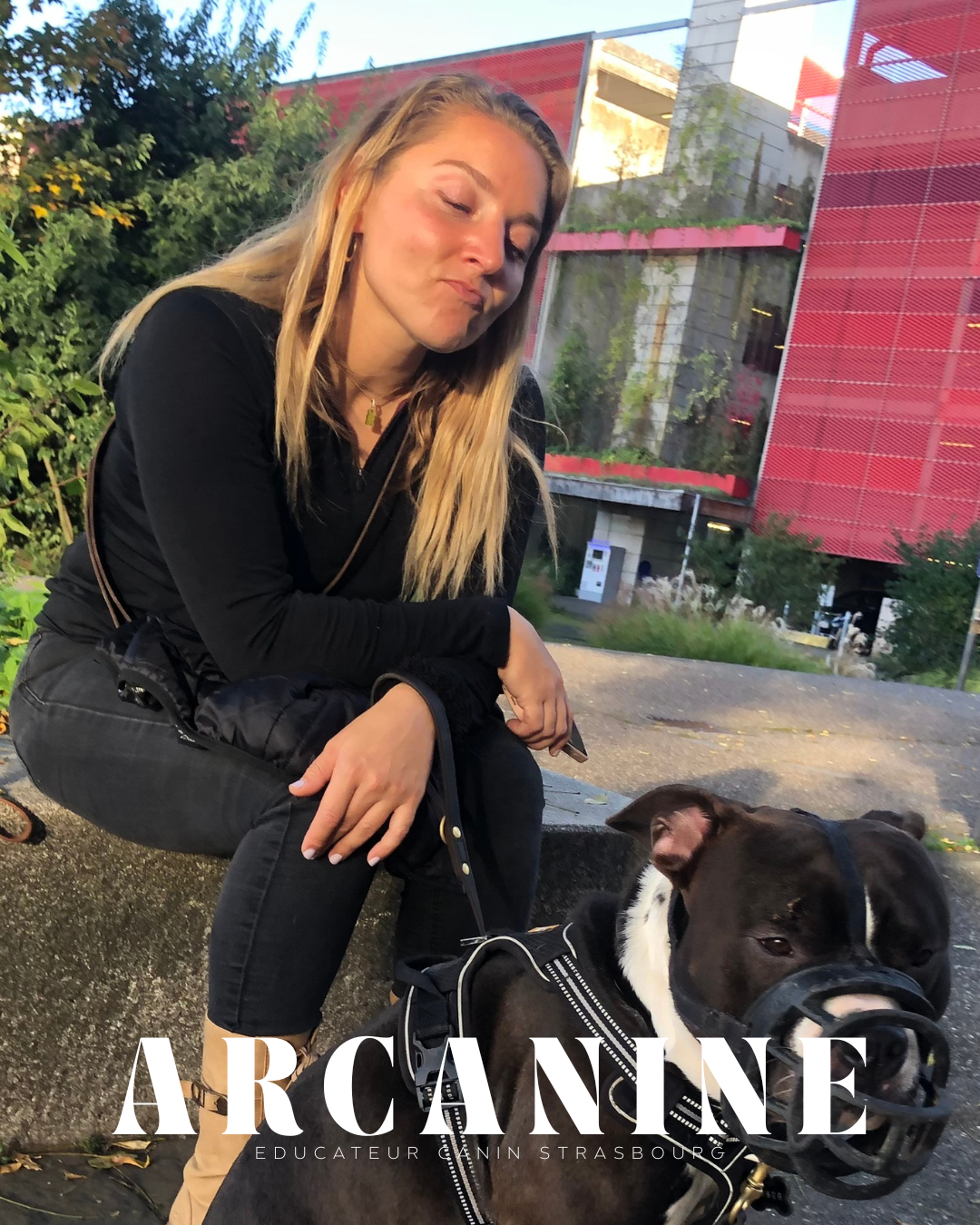 Rééducation canine Arcanine Training Strasbourg