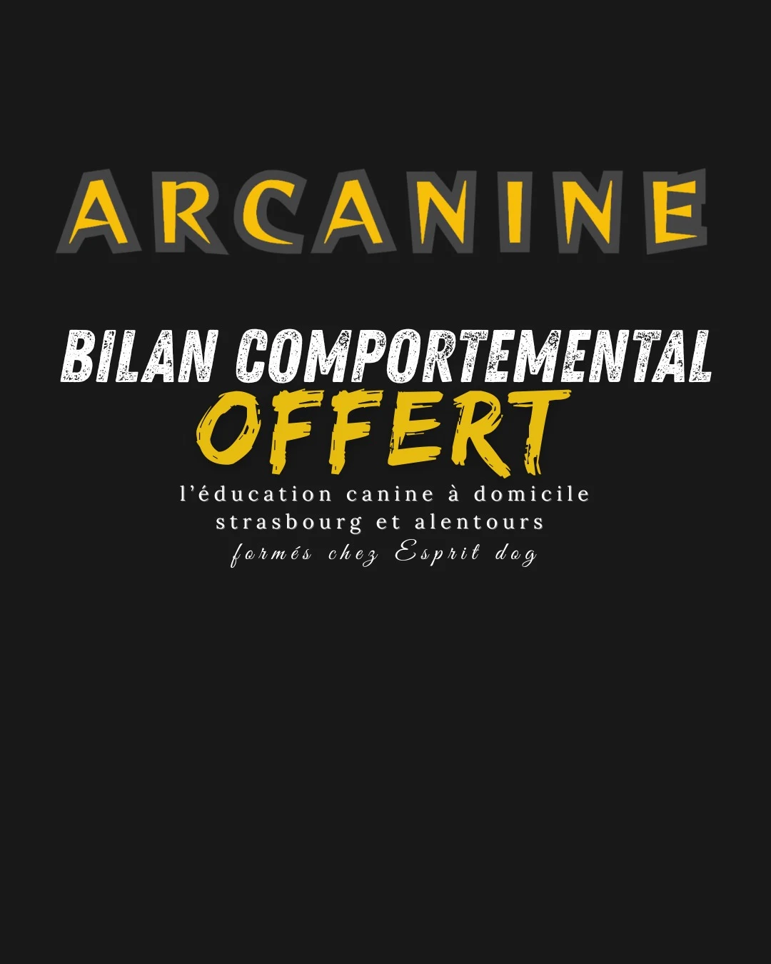 Bilan comportemental offert — éducation canine à domicile Strasbourg et alentours, formés chez Esprit Dog