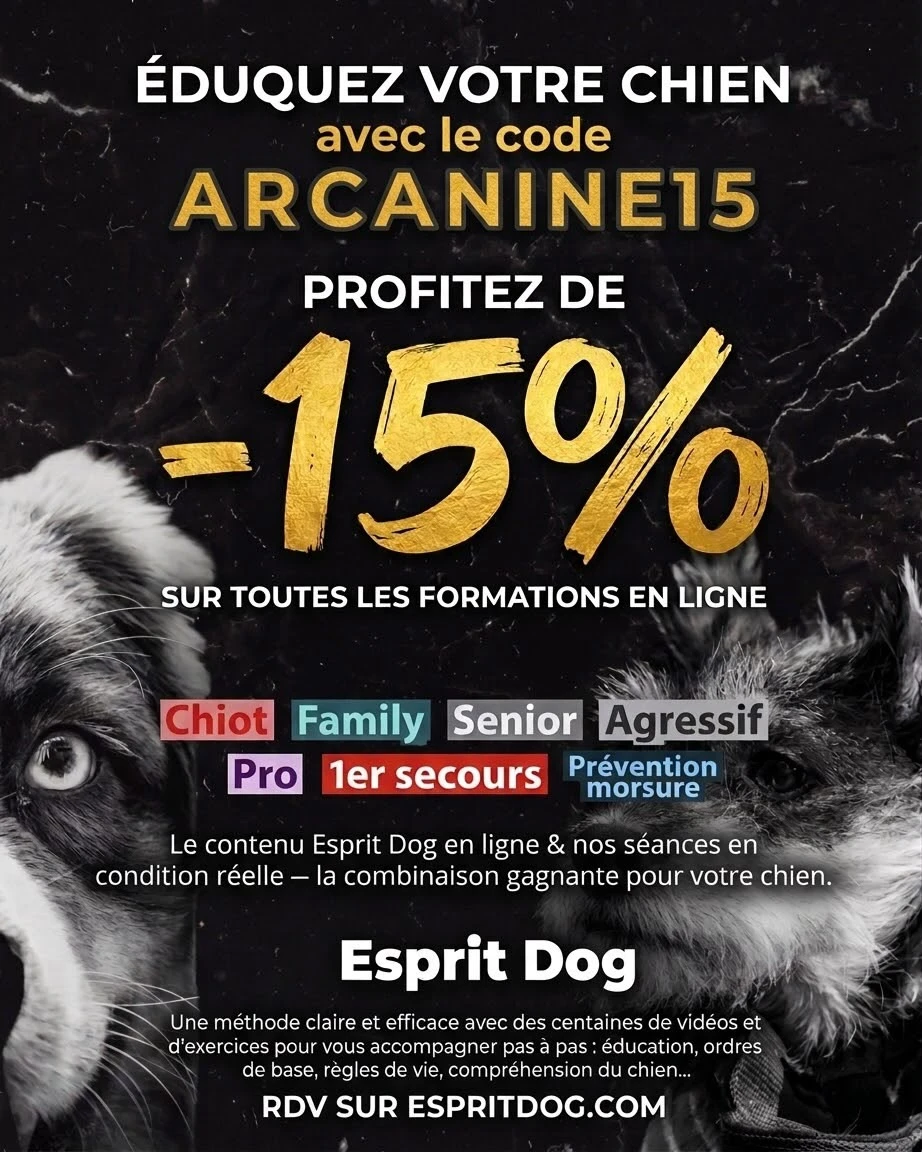 Code ARCANINE15 : -15% sur toutes les formations en ligne Esprit Dog — éducateur canin Strasbourg