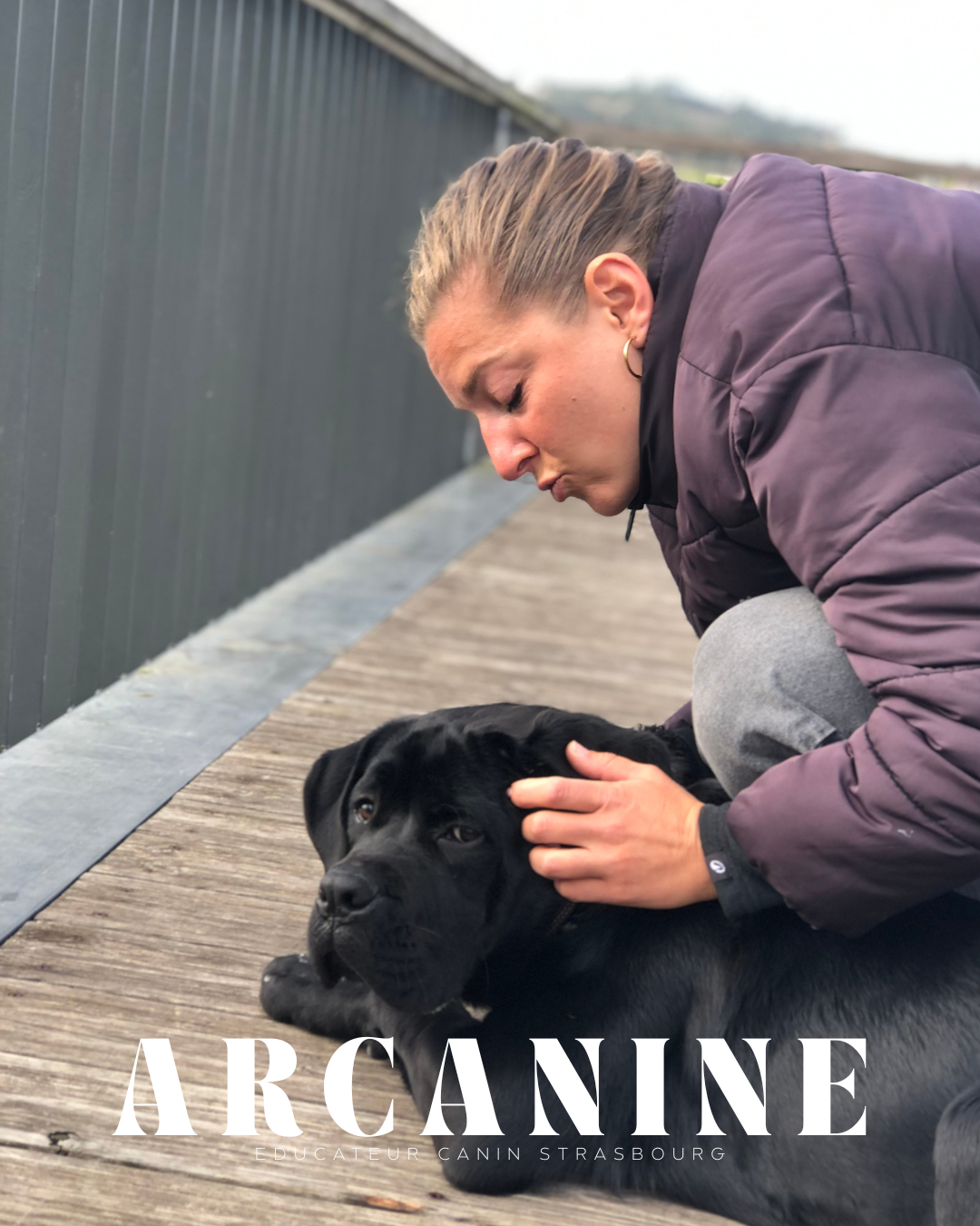 Éducation canine à domicile — éducateur canin Strasbourg