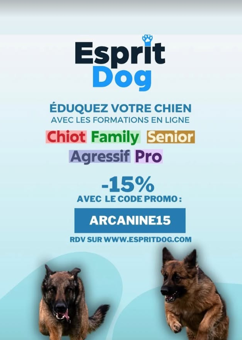 Éducateur canin Strasbourg partenaire Esprit Dog