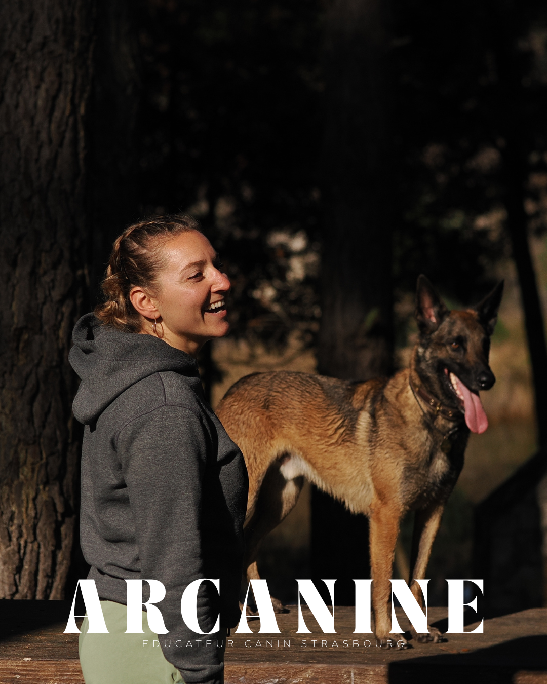 Malinois — obéissance Strasbourg
