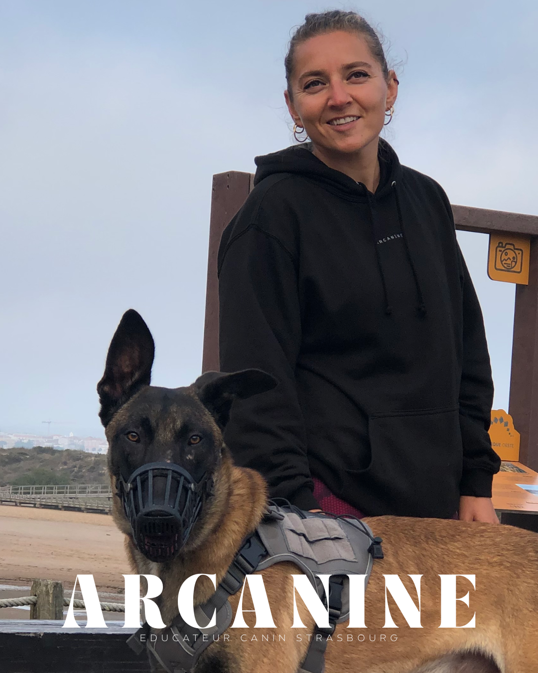 Stage intensif Malinois gestion des émotions Bas-Rhin